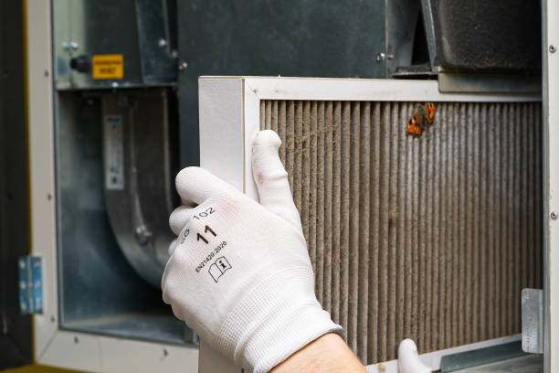 Best Air Duct Cleaning Company Near Me  in Houston, AK