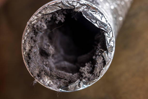 Best Air Duct Cleaning Near Me  in Houston, AK